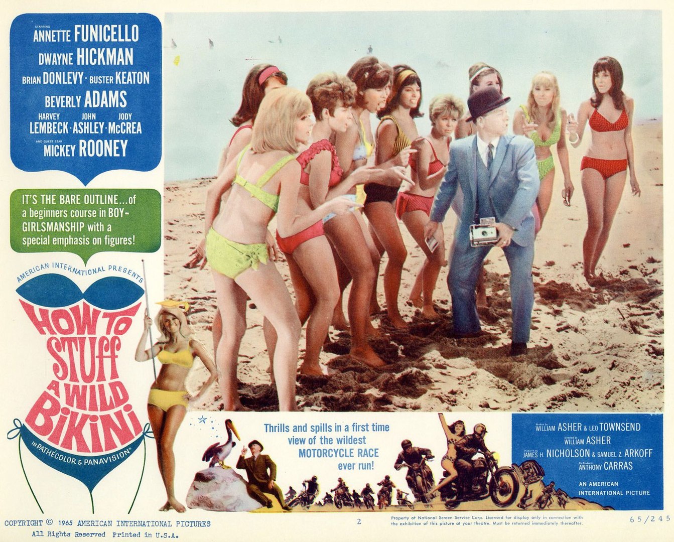 How to Stuff a Wild Bikini Movie (1965) - video Dailymotion