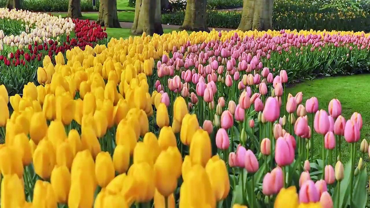 Rednex - Hold Me For A While