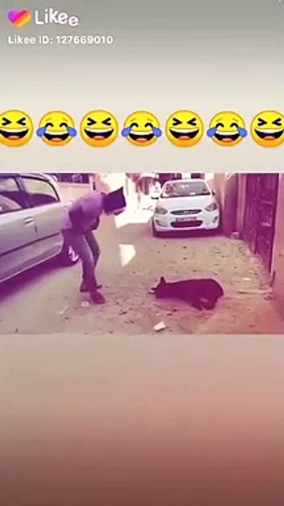 Best funny video