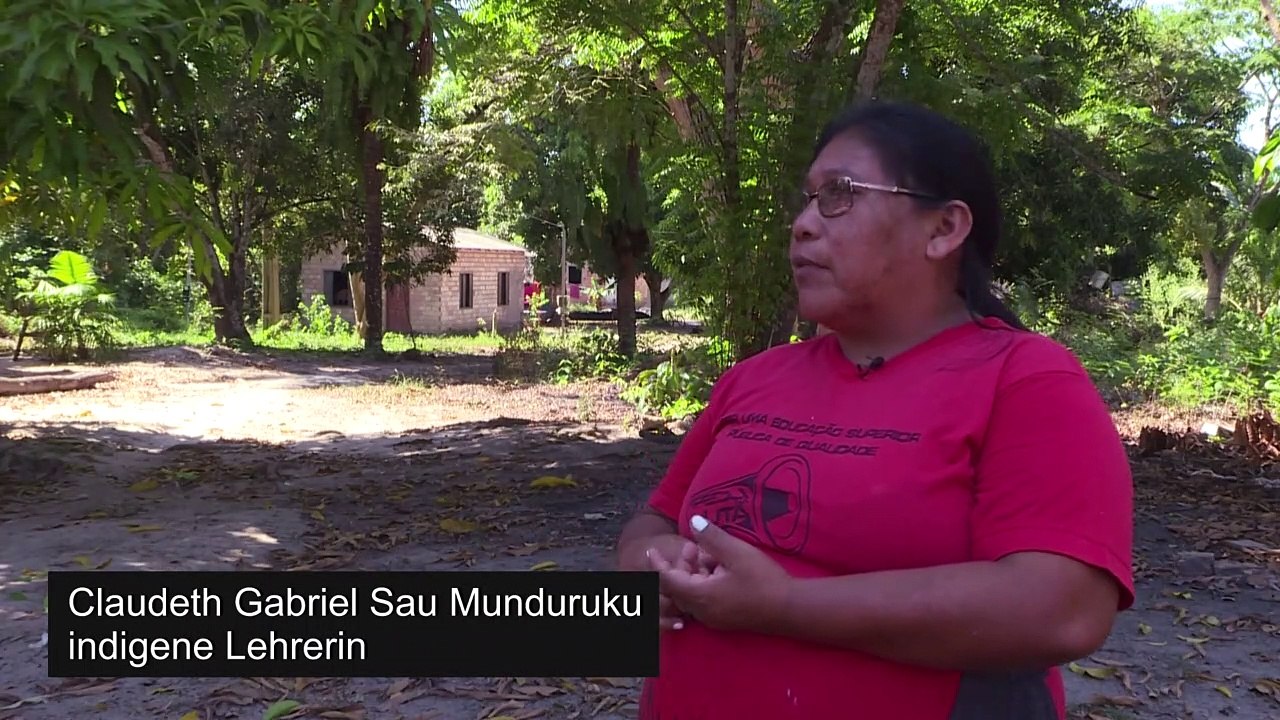 Stimmen aus dem brasilianischen Regenwald