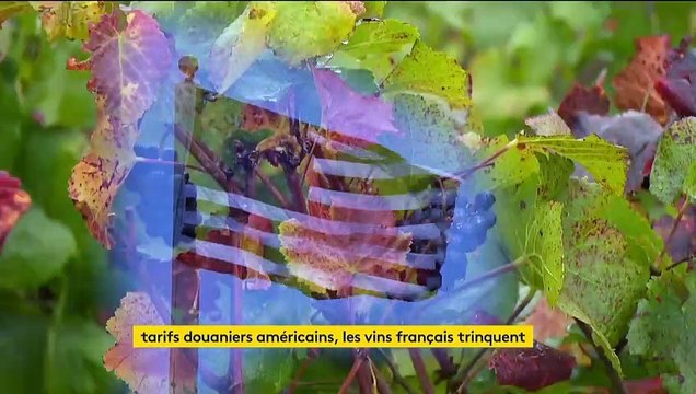 Les nouvelles taxes américaines inquiètent les producteurs de vin français