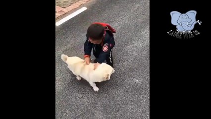 Ultimate Best Fails Compilation 2019 | TRY NOT TO LAUGH | Funny Vines Videos