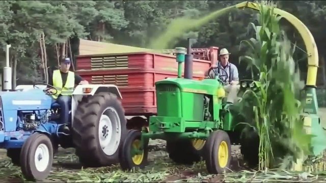 World Modern Agriculture,Cutting Flower Tulips,Cabbage harvesting