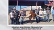 Une vache Texas Longhorn bat le record du monde des cornes les plus longues