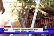 Venezuela: Nicolás Maduro considera que producir alimentos educa más que mil libros