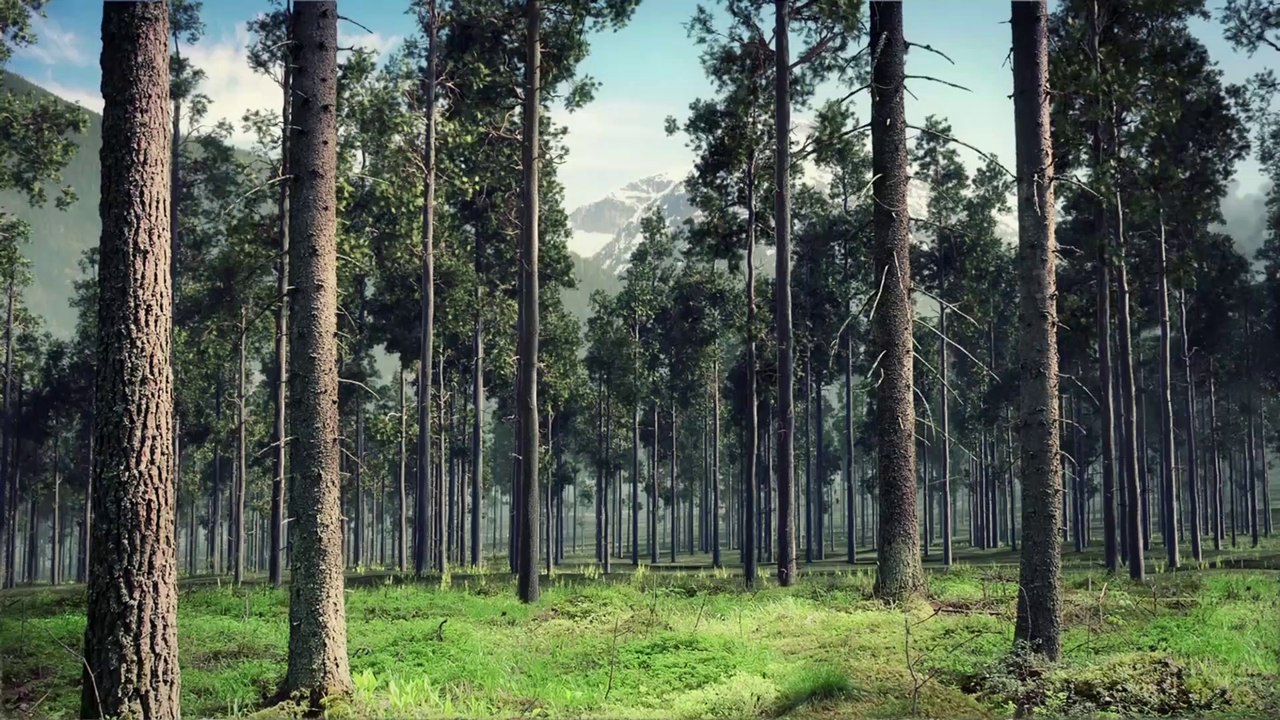 Arise4Nature | Join Us