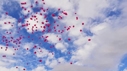 Celebración en Pamplona del Día Internacional del cáncer de mama
