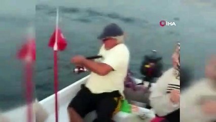 İzmir'de art arda köpek balığı heyecanı