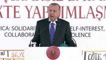 Cumhurbaşkanı Erdoğan: 'Aramızda çizilen yapay sınırlar ufkumuzu belirleyemez' - İSTANBUL