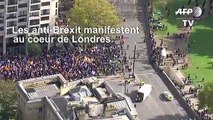 Pendant le débat au Parlement, défilé anti-Brexit à Londres