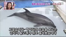 34★[나미 ＆ 미하] 천재돌고래