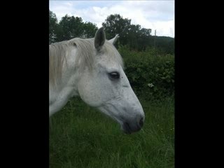 Nostalgie de nous deux