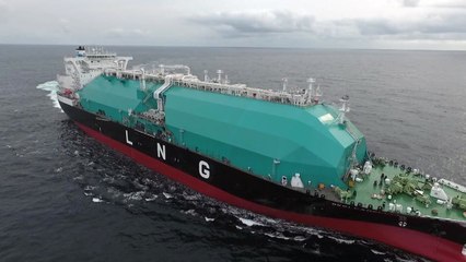 LNG 운반선 화물창 로열티 3조...국산화 국감서도 쟁점 / YTN