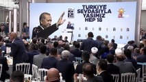 Cumhurbaşkanı Erdoğan: 'Türkiye'yi itip kakabileceklerini sananlar bir kez daha derslerini aldı'