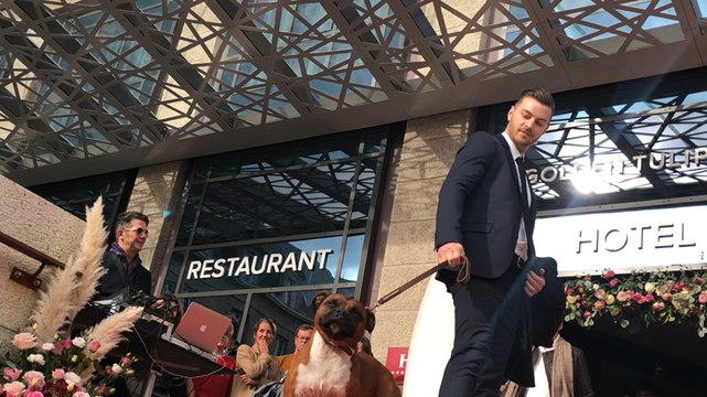 A Saint-Malo, les commerçants d’Intra-muros font le show