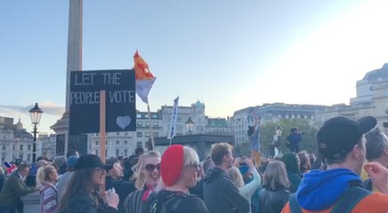 Concentración en Trafalgar Square para pedir un nuevo referéndum