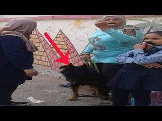 ولية امر تاخذ حق بنتها بالكلب داخل المدرسه !!