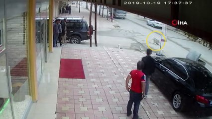 Minibüsün çarptığı köpek öldü...O anlar kamerada