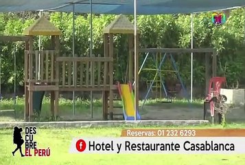 Descubre la historia, tradición y deliciosa gastronomía de Huacho