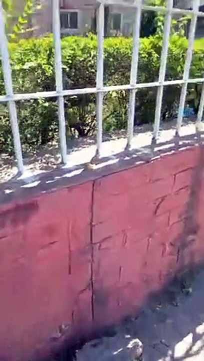 Lal Masjid Ki Bari Bari Galian Deti Ortain