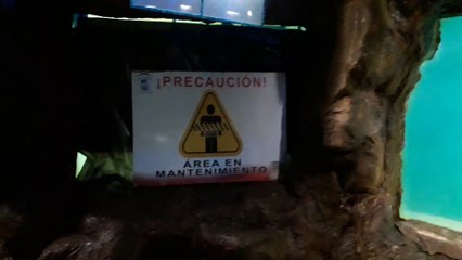 Acuario Mazatlán | 2019 | Parte 4