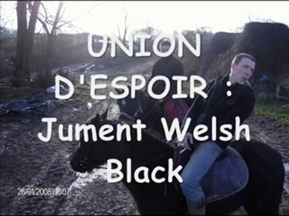 Juments de Monte(bon)