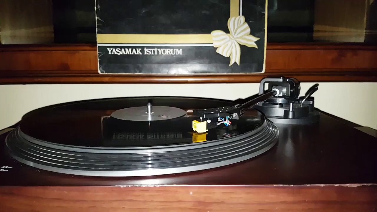 Bülent Ersoy - Bir Gönül Sayfası    (Plak kayıt)