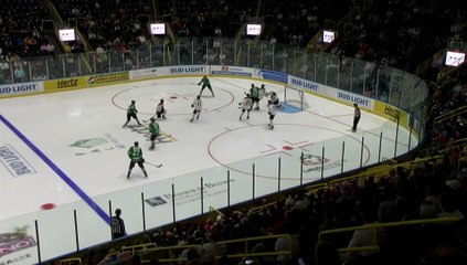 ECHL Norfolk Admirals 2 at Florida Everblades 4