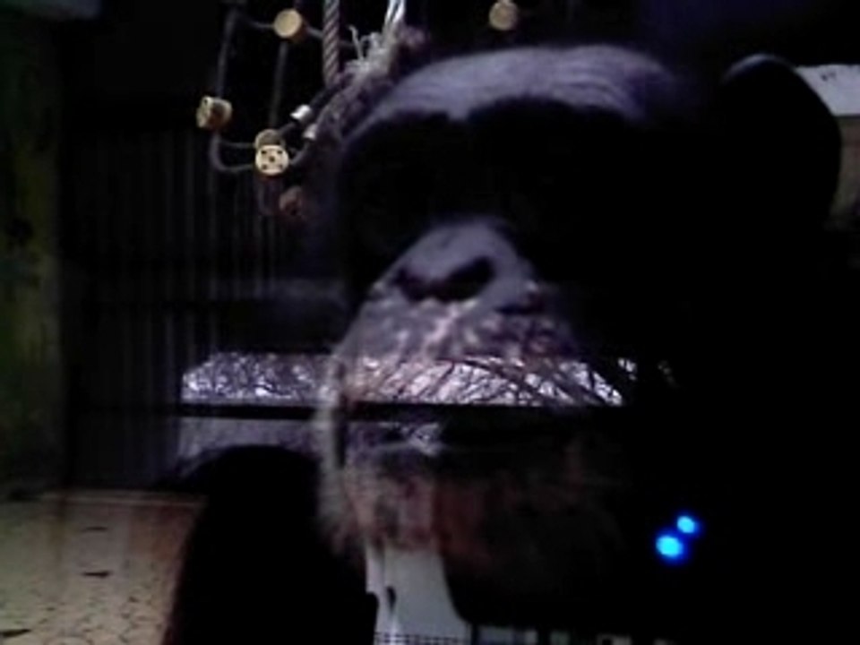 IMAG0026