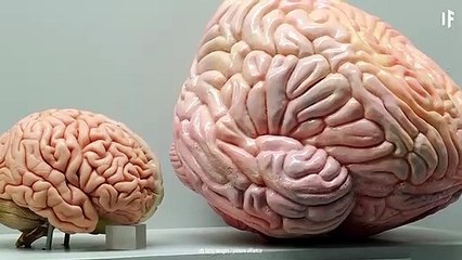 Imagine using full part of the brain...