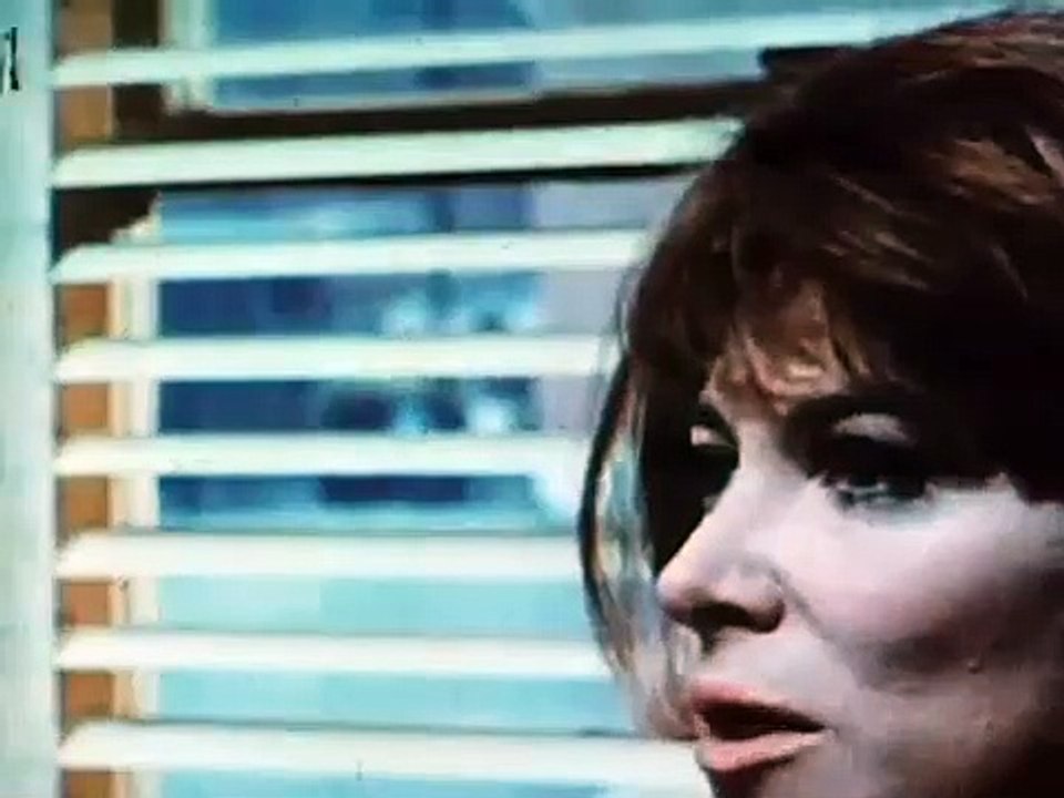 In the Heat of the Night Movie (1967) Sidney Poitier, Rod Steiger, Warren Oates