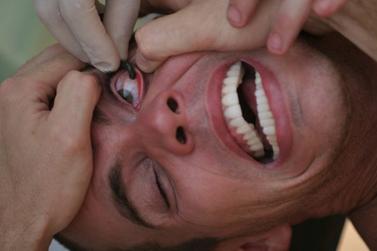 Jackass Number Two movie (2006) - Jackass 2