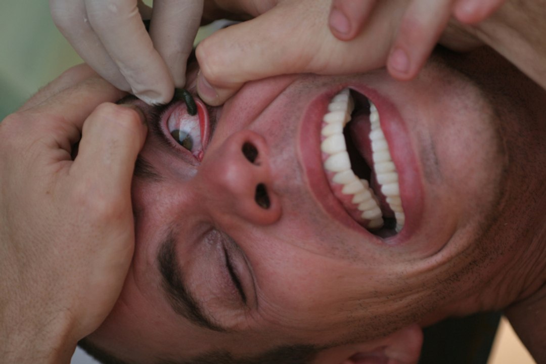 Jackass Number Two movie (2006) - Jackass 2