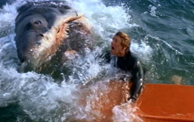 下载视频: Jaws Movie (1975) Roy Scheider, Robert Shaw, Richard Dreyfuss