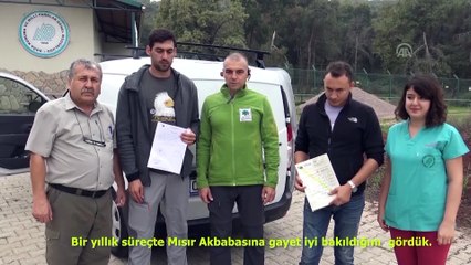 Tedavisi tamamlanan yaralı akbaba ülkesine teslim edildi