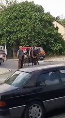 Bu kadar vicdansızlığa pes! Sakat at ile hurda topluyor