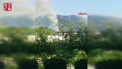 Alanya’da orman yangını