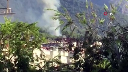 Alanya’da ormanlık alanda yangın