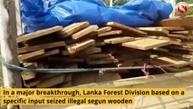 Segun Wooden Logs worth Rs 70,000 seized in Lanka
