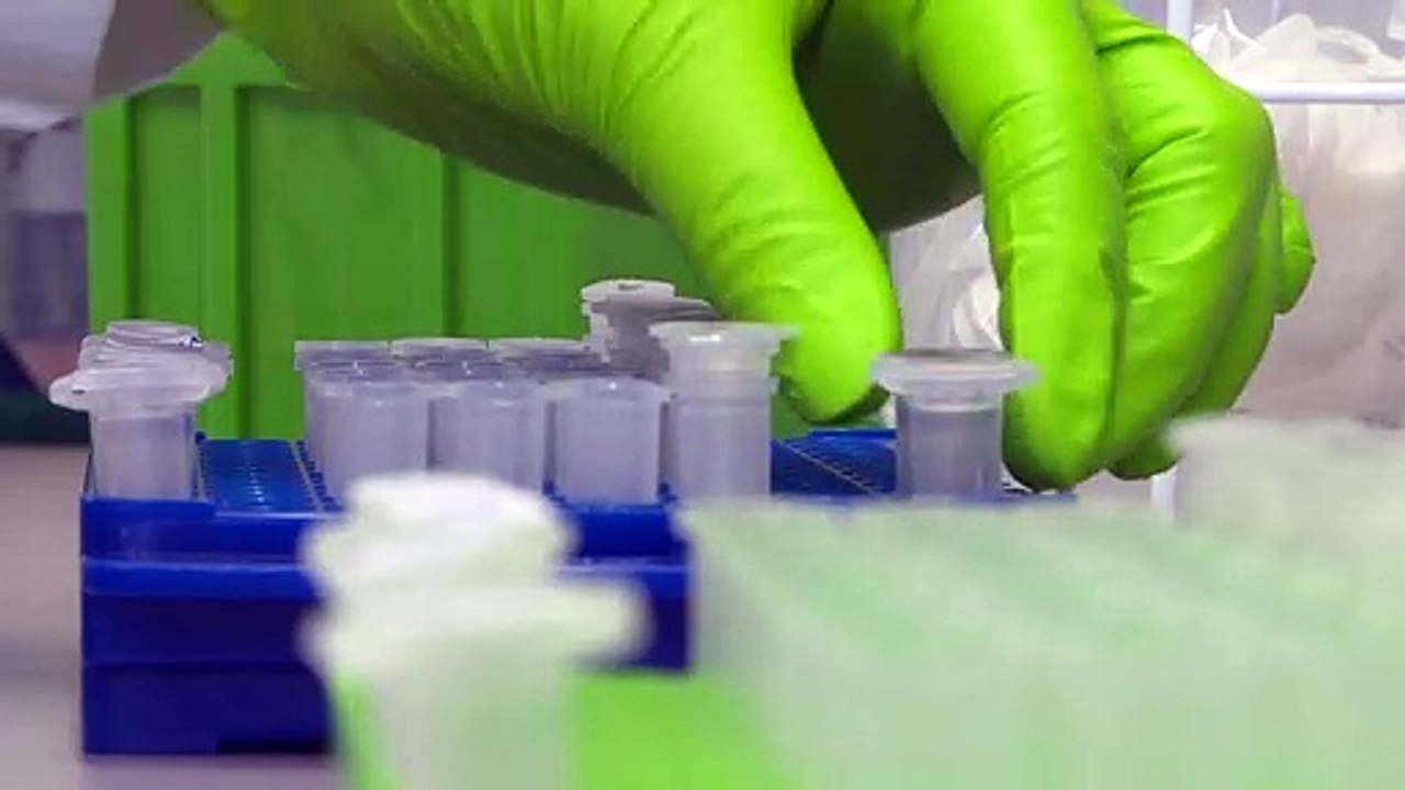 Insel Riems - das Alcatraz der Viren