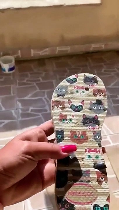 Papagaio fala demais e denuncia quem destruiu o chinelo da dona