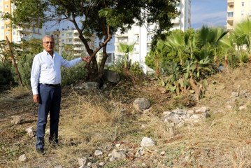 Mezitli Belediye Başkanı'ndan "Aratos'un mezarı gün yüzüne çıkarılsın" çağrısı