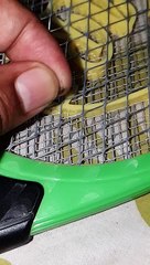 Mosquito killing slow motion