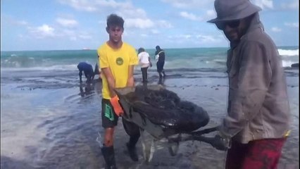 Petroleum sludge strikes popular tourist spot in Brazil