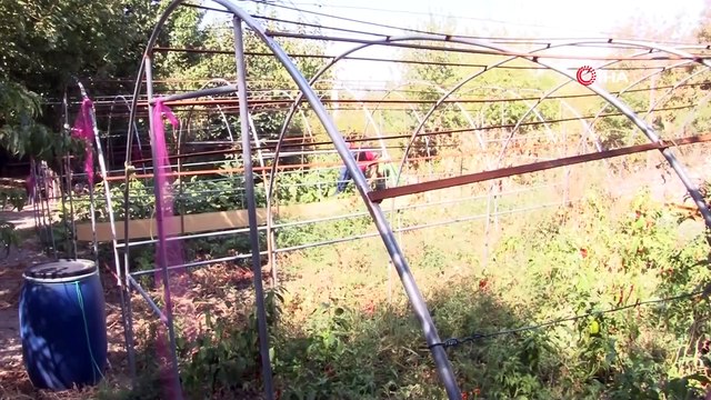 Geri Dönüşüm Malzemeleri Doğal Üretim Alanı Oldu