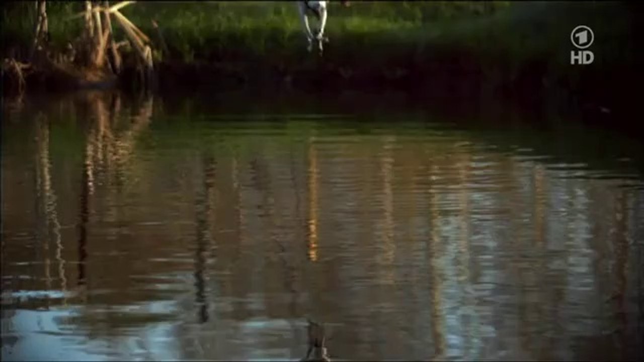 Die Lausitz - Wildes Deutschland