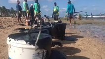 Maré negra em Porto de Galinhas