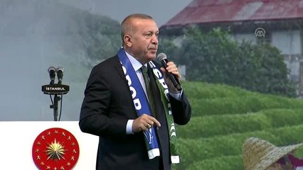 Cumhurbaşkanı Erdoğan: "Şimdi tek tip paket (sigara) uygulamasına geçiyoruz"
