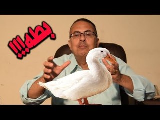 اخ يتخلص من اخاه والسبب بطه  شاهد اغرب حلقات حنفى السيد