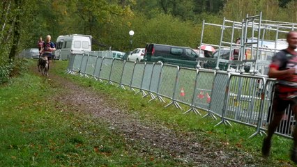 Championnats d'Europe de canicross à Chevetogne
